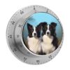 Border Collie Stainless Steel Mechanical Kitchen Timers