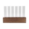 BSTiltion Glass Plant Propagation Station with Wooden Stand and Test (6