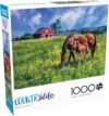 Buffalo Games - Near and Dear - 1000 Piece Jigsaw Puzzle for Adults