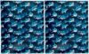 Bundle of (2) Shark Themed 3-Hole 2-Pocket Portfolio Folders for Back to School