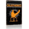 Calisthenics Athlete Metal Sign 8x12 Inch for Gym Wall Decor