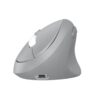 Camoflux Ergonomic Mouse Silent Wireless Dry Battery Mouse