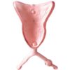 Canine Uterus Ovary Bladder Anatomical Model, Animal Organ Structure Model for Veterinary Teaching & Educational Demonstration