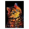 Cat Scratch Art for Teen & Adults Rainbow Painting Sketch Pads with 3