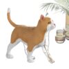 Cat Skeleton Anatomy Model 4D Teaching Aid