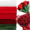 Caydo 500 Pieces Red Pipe Cleaners for Flowers
