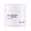 Cell Memory B12α Cream, Vitamin B12 Facial Moisturizer with Plant Complex Extracts/MultiEX BSASM Plus/Lightweight Shape-Memory Pink Pudding Texture/Nourishing Hydration for Soft/Healthy-Looking Skin