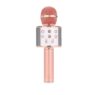 CENGNIAN Wire/Less Microphone, Blue/Tooth Karaoke Microphone for Singing
