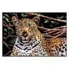 Cheetah Scratch Art for Teens & Adults, 15.94x11.22 Inch Rainbow Scratch