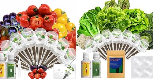Cherry Tomato Seed Pod Kit and Lettuce Seed Pods Kit Compatible with AeroGarden, Ahopegarden,URUQ, LETPOT Hydroponic Growing System