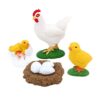 Chicken Life Cycle Toy for Kids