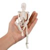 CNAFGBGG Mini Skeleton Toy for Kids 7.87inch Halloween Detachable Movable Joint Decorative Tabletop Skeleton Model for Halloween Easter Party Teaching ..