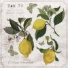Cocktail Napkins, Eco Friendly Paper Napkins for Decoupage, 40pcs (Lemon Botany)