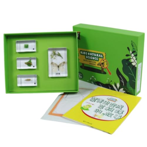 Colaxi Children Learning Science Set with Resin Sample Blocks and Green Tray for Nature Study Educational Tool Suitable for Kids School Projects and, Array, Cabbage Worm to Cabbage White Butterfly