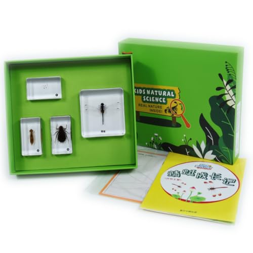Colaxi Children Learning Science Set with Resin Sample Blocks and Green Tray for Nature Study Educational Tool Suitable for Kids School Projects and, Array, Dragonfly Growth Story