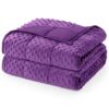 Cottonblue Weighted Blanket 20lbs Queen Size for Adults, 60 x 80in Purple