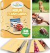 CreateFun 50 Noun Flash Cards, Fun Vocabulary Builder for Speech Therapy