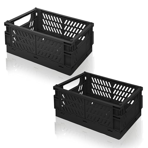 Daixers 2 Pack Mini Foldable Small Plastic Baskets for Organizing and Storage,Collapsible Storage Crates,Mini Bins for Home Kitchen Bedroom Bathroom Office (Black, Extra Large 16x11x6)