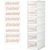 Days of The Week Stickers, Monday to Sunday Drawer Labels with 7pcs Blank Custom Stickers, Organizer Decals for Clothes Bins, Classroom & Back to School Organization,32 Pcs (Pink)