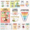 Decorably 16 Biology Posters High School, Elementary Decorations