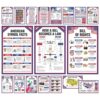 Decorably 18 Educational The Bill of Rights Constitution Posters