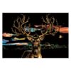 Deer Scratch Art for Teens & Adults: Rainbow Painting Scratch Pad with 3