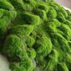 DHDHSHB Fake Moss 1x1m(3.2x3.2ft) Artificial Moss Mat DIY Sheet Moss for Art Wall Florist Decor Balcony Deck Patio Backyard Indoor Outdoor Decor