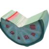 Dicot Plant Stem Model,Cross‑Section Structure Anatomy Model