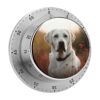 Digital Kitchen Timers Magnetic Visual Timer White Labrador