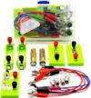 DIY Electromagnetic Circuit Experiment Kit, Series Parallel Fruit Battery