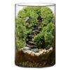 DIY Large Moss Terrarium Kit, Borosilicate Glass Ecosystem Bottle for Indoor Plants, Moss Micro Landscape with Material Pack and Tools Included, 5.9 x 3.9 in Gift