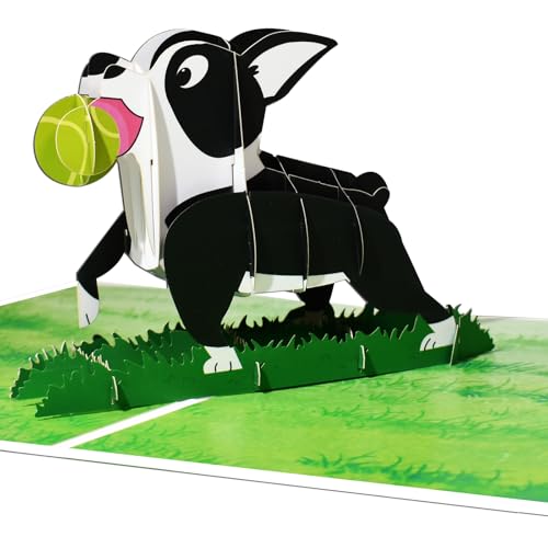DLYMXGC Boston Terrier Pop Up Greeting Cards with Blank Note & Envelope, ideal celebration gift for Friendship, Love, Anniversary, Special Moments, Inspirational, Appreciated, Birthday