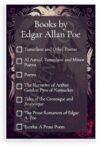 Edgar Allan Poe Books Checklist Gothic Literary 12"x18" US Made Poster