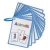 Educational Flashcards English Vocabulary Flashcards Early Learning Word Card Vocabulary Teaching Aid for Teacher English for