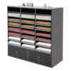 EDUJUAN 24 Compartments Literature Organizer with 2 Drawers (Black)