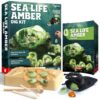 EDUMAN Amber Dig Kit-6 Artificial Sea Life Resin Specimens, Glow in The Dark Oceanlife Fossil Excavation Set, STEM Inspired Educational Toy for Kids Ages 6-12, for Boys & Girls