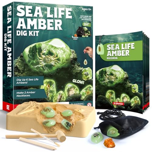 EDUMAN Amber Dig Kit-6 Artificial Sea Life Resin Specimens, Glow in The Dark Oceanlife Fossil Excavation Set, STEM Inspired Educational Toy for Kids Ages 6-12, for Boys & Girls