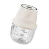 Electric Garlic Chopping 100ML Food Garlic Mincer USB Vegetable Onion Small Food Processor Electric Meat Grinder