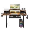 Electric Lift Computer Desk,Electric Standing Desk with Memory Presets