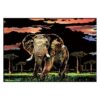 Elephant Scratch Art for Teens & Adults – Rainbow Paint & 3 Tools (15