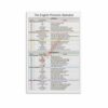 English Phonetic Alphabet Chart Poster Classroom Education Decor