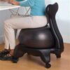 Ergonomic Stability Ball Chair with Wheels & Back Support - 55cm Anti-Burst Exercise Ball for Adults, Students, Seniors - 660lb Capacity, Ideal for Home Office & Fitness