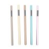 Everlasting Tool Inkless with Writing Replaceable Pencil 5pcs Barrel