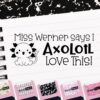 ExcelMark Personalized Teacher Stamps for Classroom - Custom Stamps for Grading - Puns of Praise with 12 Stylish Mount Patterns (Pink Mount, I Axolotle Love This)