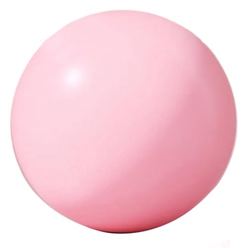 Exercise Balls Physical Therapy, 10 Inch Soft Fitness Anti-Burst Stability Yoga Ball Small for Pilates Core Balance Training Strength,Heavy Duty Thick Gym Accessories for Home Office Chair