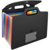 Expandable Folder with Handle, 13 Pockets File Folder for A4 Size Documents, Portable Accordion File with Rainbow Divider, Elastic String Closure for Office Business Home, Black