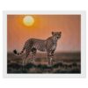 Exquisite Diamond Painting DIY 5D Diamond Art Kits for Adults Beginners