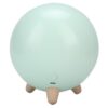 Fabater Little Pet House Cat Night Light, Cute LED Night Lamp for Bedroom Atmosphere, Touch Free Dimming, 1200mAh Battery, AutoOff, Soft Warm Light, Kids (Green)
