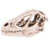 Fabater Resin Dinosaur Skull Model, Lifelike Animal Skeleton Replica, Home Office Desktop Decor, Teaching Prop for Dinosaur Enthusiasts, EcoFriendly Craft Gift