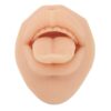 Fabater Silicone Tongue Mouth Model, 3D Simulation, Soft Reusable